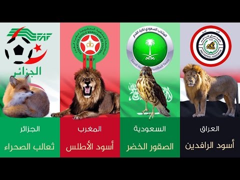 تعرف على معاني ألقاب جميع المنتخبات العربية