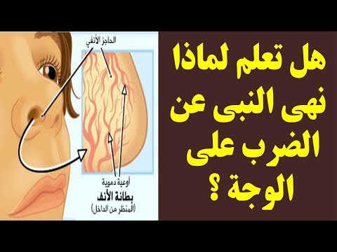 فيديو السبب وراء نهي النبي عن الضرب على الوجه