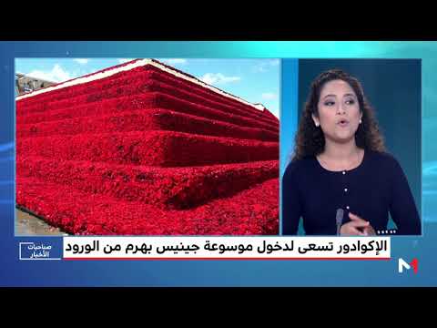 شاهد الإكوادور تسعى إلى دخول موسوعة غينيس بهرم من الورود