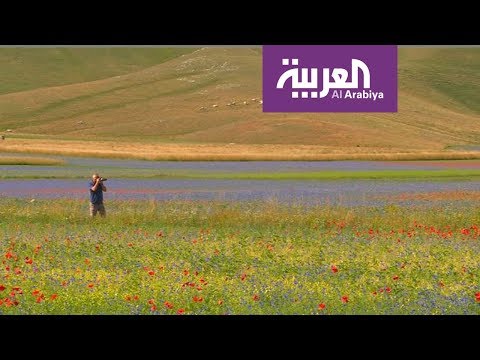 شاهد مهرجان لأصحاب الشعر الأحمر فقط في روسيا