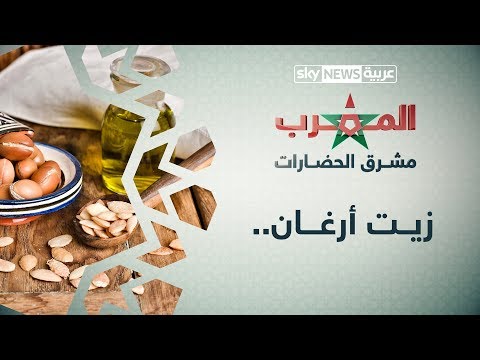 ندرة شجرة أرغان تجعل ثمارها وزيتها من بين الأغنى في العالم